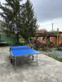/album/fotogalerie/pinec-jpg/